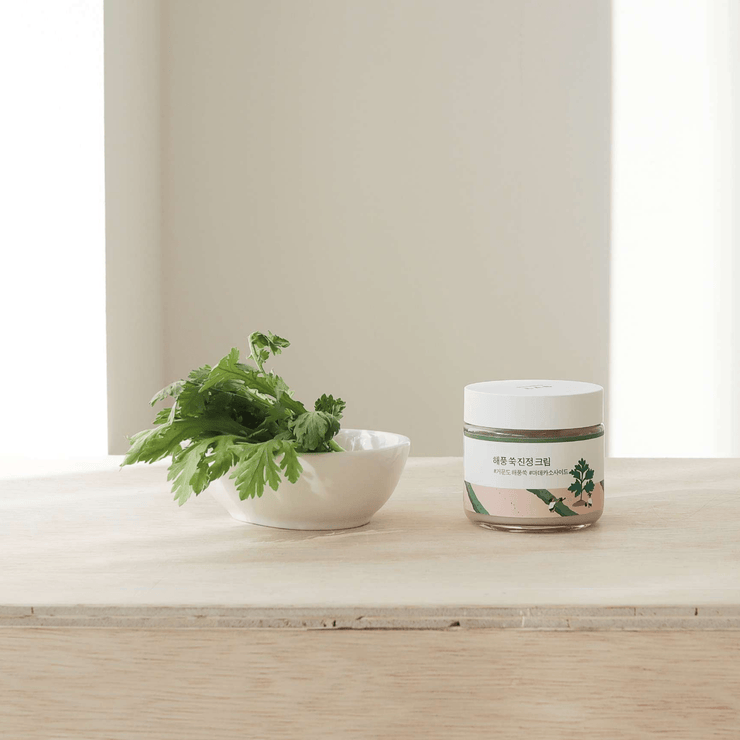 Round Lab - Mugwort Calming Moisturizer